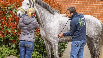 cav-kolik-diagnose-img-1204-fellner-v-amendo (jpg)