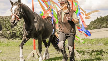 CAV Horse Agility alte Pferde Teaser