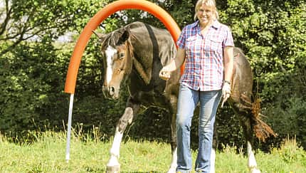 CAV Pferde-Agility  Aufmacher Artikel