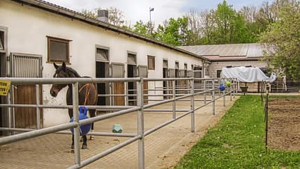 CAV Reitschul-Test in Coburg: Reitgemeinschaft Coburg-Rödental 3