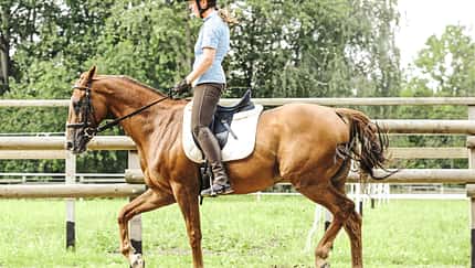 CAV Reittraining Tempo B