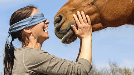 CAV Blind Date Pferd mit verbundenen Augen erkennen Teaser