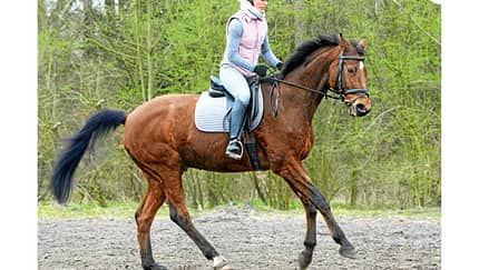 CAV Seitengänge 12