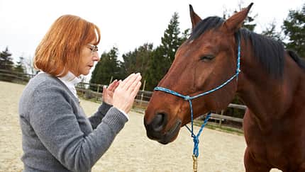 CAV Reiki Christa Mahlmeister 1