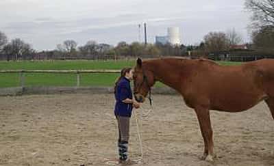 CAV Valentinstag Horselovers 1