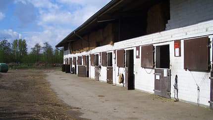 CAV-0912-Reitschultest-Boberger-Reitverein-Aussenboxen (jpg)