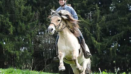 CAV-TREC-Reiten-10 (jpg)