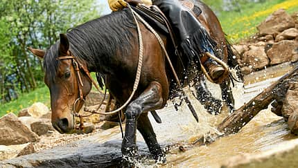 CAV-Extreme-Trail-Park-Aufmacher