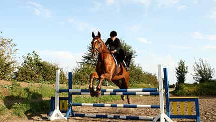 CAV 0210 Damensattel reiten 1