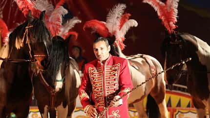 CAV Zirkus Olympia Springfeldt MS