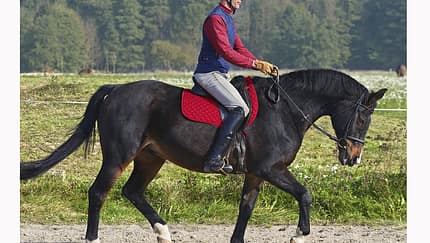 CAV 12_2010-Pferd-locker-reiten_Schoenewald_06 (jpg)