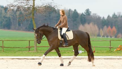 CAV 0508 Schwung - Reiten Beispiel 2.4