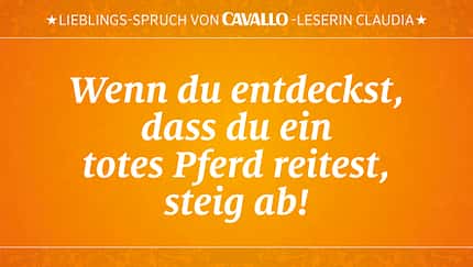 CAV Reitersprüche 28