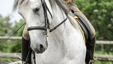 CAV Kurven reiten Aufmacher