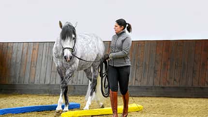 CAV Equikinetic Michael Geitner 1