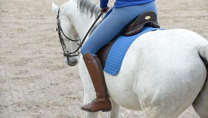 CAV Reiten ohne Steigbügel 1