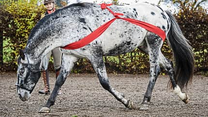 CAV Training Elastikbänder Aufmacher
