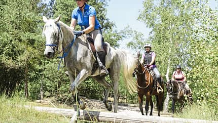 CAV Gelände Ausritt Aufmacher