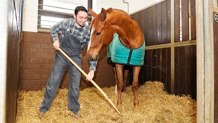 CAV Rechtserie Stallarbeit