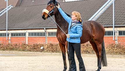 cav-201904-cavallo-coach-lir7586-mit-TEASER-v-amendo (jpg)