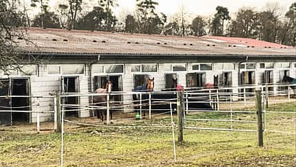 cav-201904-reitschultest-rheinzabern-stall-img3064-mit-TEASER-v-amendo (jpg)
