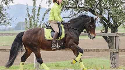 CAV Galopp Aufmacher