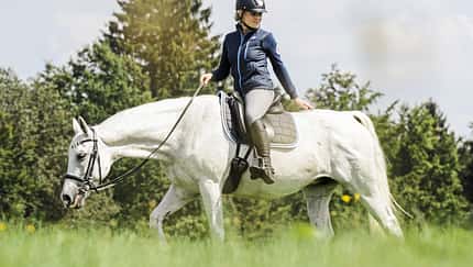 CAV 201801 Pferd Ausritt