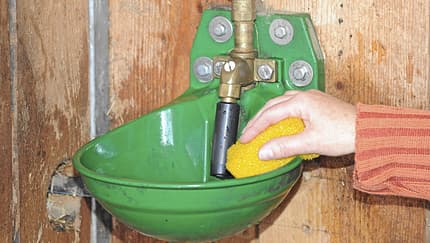 CAV Hygiene Tipps TL