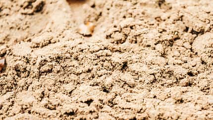 CAV Sand Reitplatz 1