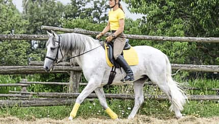 CAV Kurven reiten Aufmacher für TL