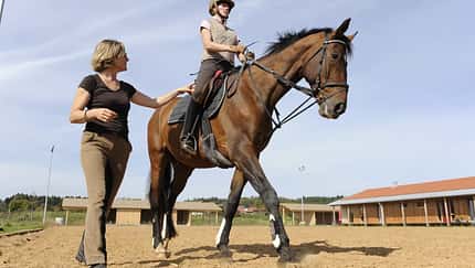 CAV Schulpferde Reitunterricht Reitlehrer