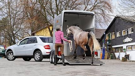 CAV 0911 Zugfahrzeuge Reiterauto - Verladen