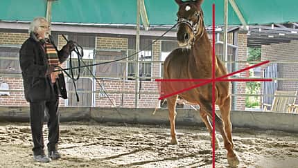 CAV Schiefen-Therapie Balance-Check Longe