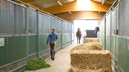 CAV Heu Stroh Gras Stallgasse