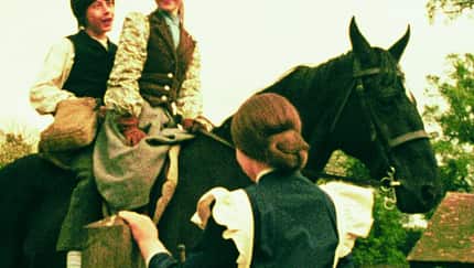 CAV Filmpferde Black Beauty Artikel
