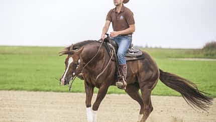 CAV Spin Hinterhanddrehung Westernreiten