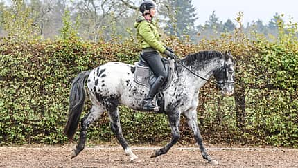 cav-uebergaenge-012017-aufmacher2-teaser-lir6940-v-amendo.jpg