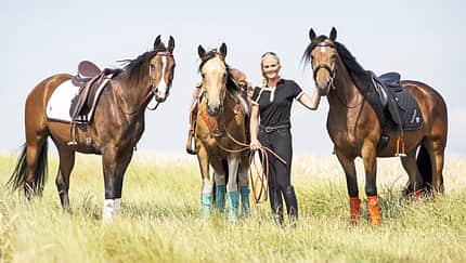 cav-201811-die-drei-1500-aufmacher-0R6A6714-b-hfr-nora-smith-slash-das-gestiefelte-pferd-v-amendo (jpg)