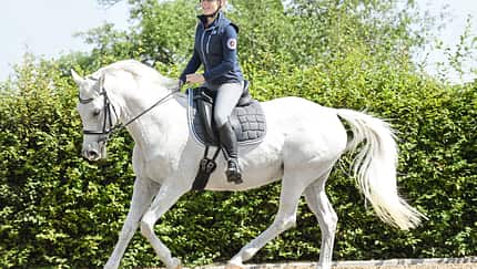 CAV Reiterin im Galopp auf Dressurplatz Reitbeteiligung