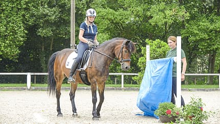 CAV GHP 2018 Gelassenheitsprüfung