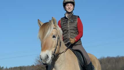 cav-0418-weniger-hilfen-01-im-kopf-reiten-aufmacher-lir0137-mit-teaser (jpg) cav-0418-weniger-hilfen-01-im-kopf-reiten-aufmacher-lir0137-mit-teaser (jpg)
