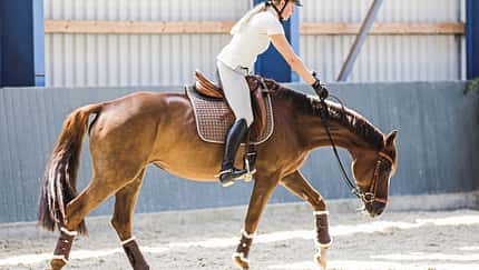 CAV Angstreiter Aufmacher