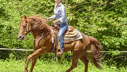 CAV Muskeltraining Aufmacher TL CAV Muskeltraining Aufmacher TL