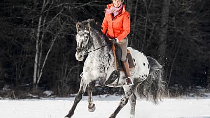 CAV Ausritt Schnee Aufmacher