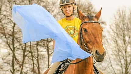 CAV Gelassenheit Pferd Schreckhaftig