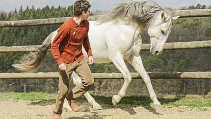 CAV Freitheitsdressur Übungen Aufmacher