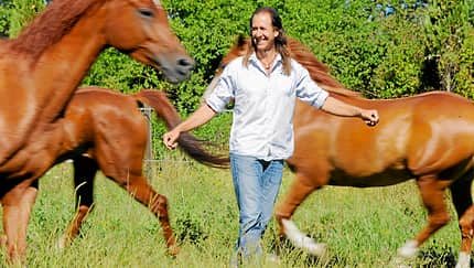 CAV CAV Frédéric Pignon Magali Delgado
