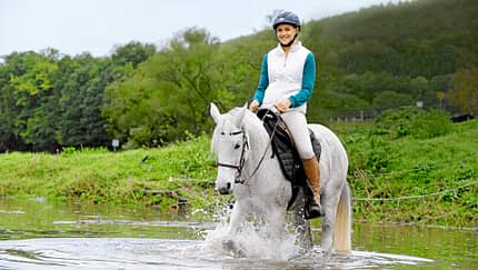 CAV Harmonie Pferd und Reiter 1