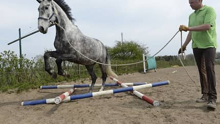 CAV Bodenarbeit Freispringen 1