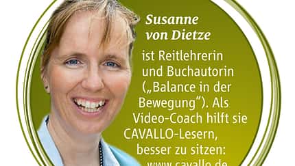 CAV Aussitzen Dressur Dietze Standpunkt - Susanne von Dietze